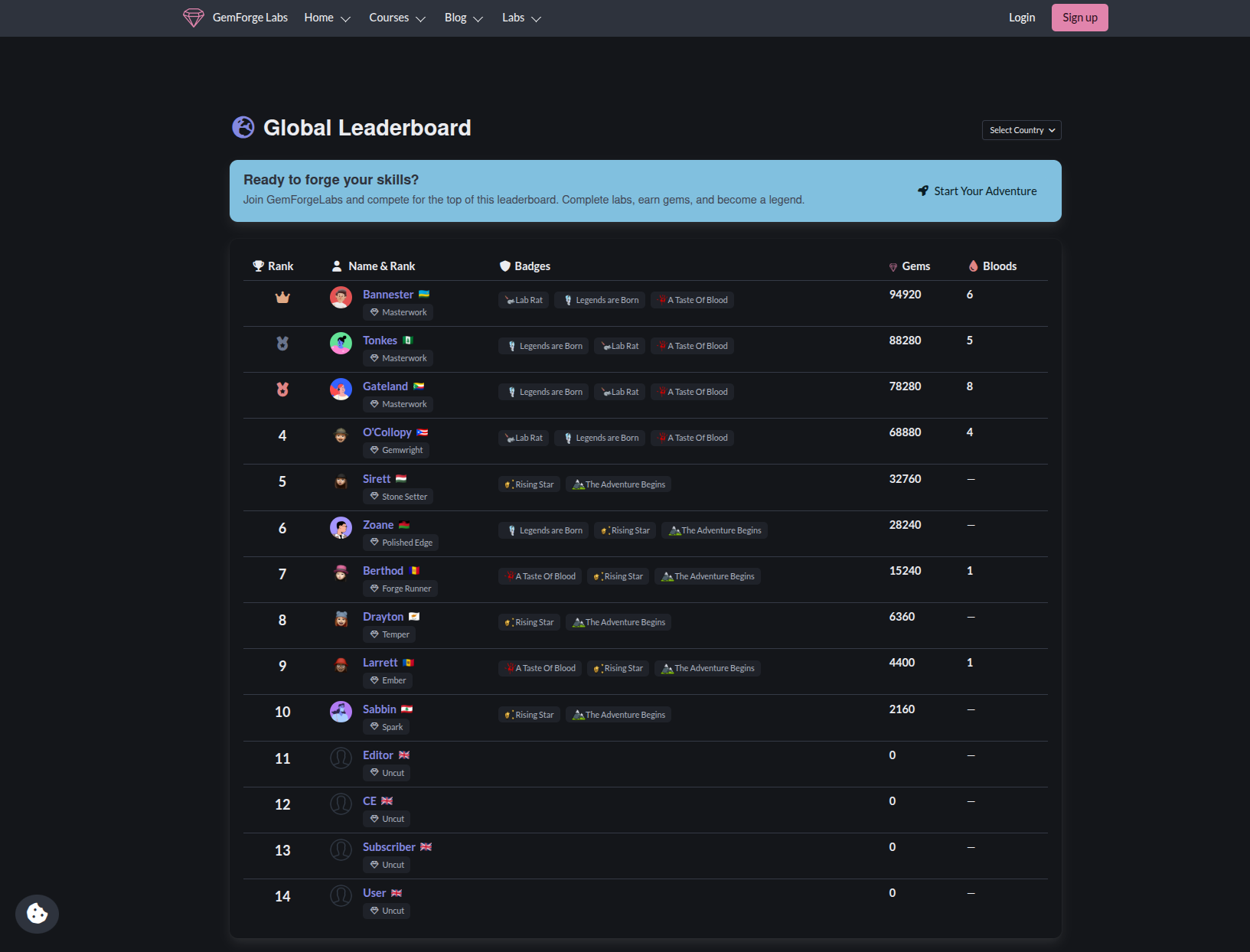 Leaderboard screenshot